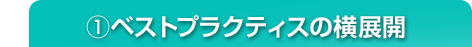 1　ベストプラクティスの横展開