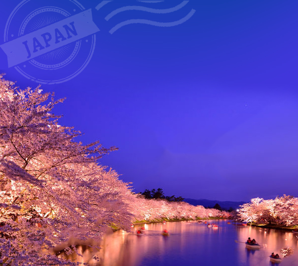 弘前公園（青森県弘前市）の桜